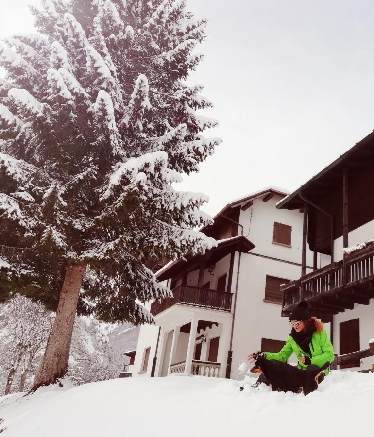 Elison-On The Lake B&B Sauris Bagian luar foto